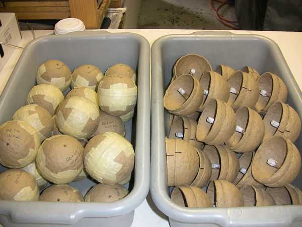 4in_shells.jpg
