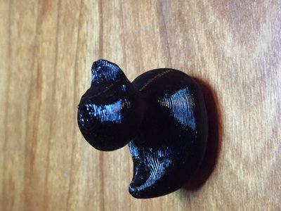 duck1.JPG