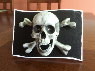 Skull Hitch 16.jpg